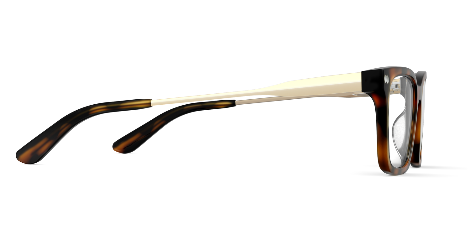 The Larkin - Tortoise Acetate Gold Metal - Carousel3 - Pair Eyewear