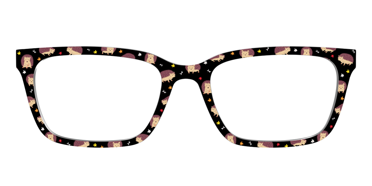 The Hedgehog Hangout - Front Top Image - Pair Eyewear