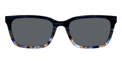 The Polarized Blue Horn Tortoise Sun Top - Front Top Thumbnail - Pair Eyewear