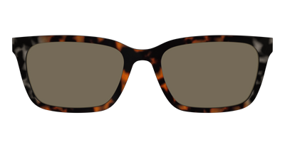 The Polarized Gray & Amber Tortoise Sun Top - Front Top Thumbnail - Pair Eyewear