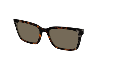 The Polarized Gray & Amber Tortoise Sun Top - Angle Top Thumbnail - Pair Eyewear