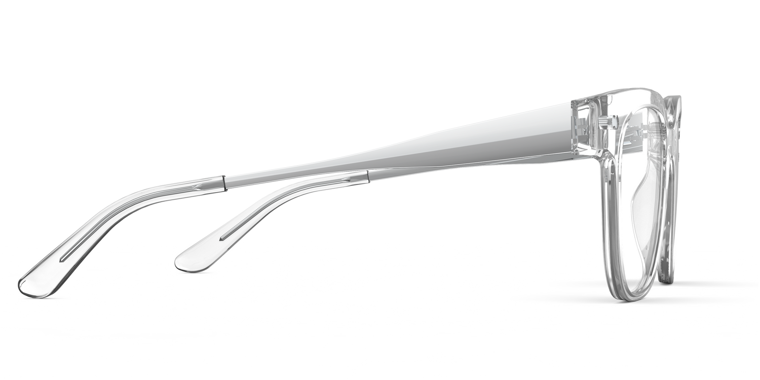The Murphy - Crystal Clear Acetate Silver Metal - Carousel13 - Pair Eyewear