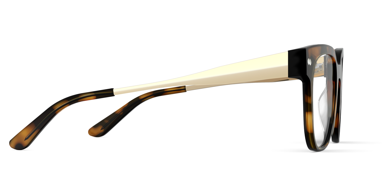 The Murphy - Tortoise Acetate Gold Metal - Carousel3 - Pair Eyewear