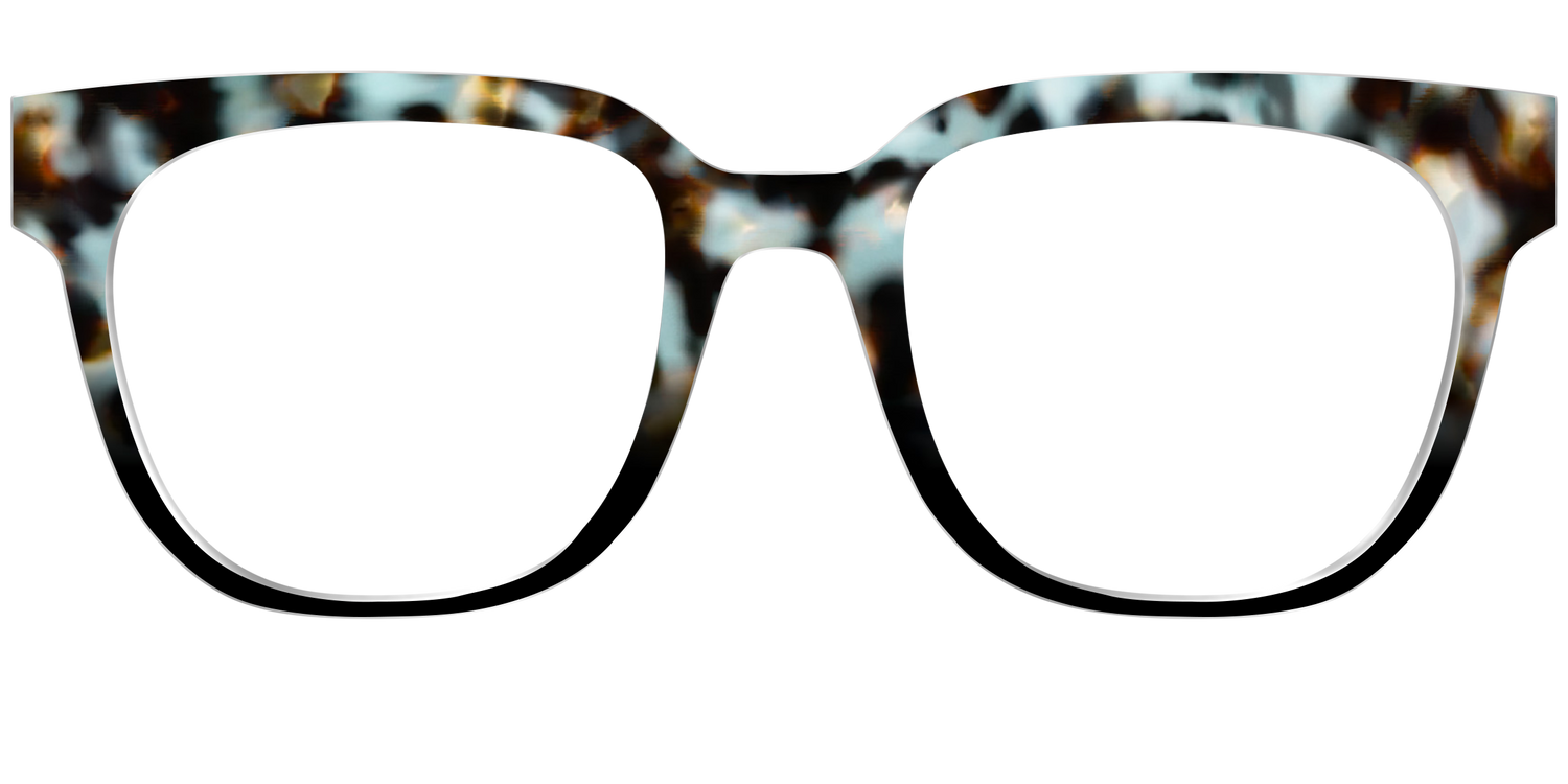 The Academic Tortoise - Front Top Image - Pair Eyewear