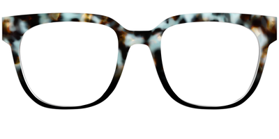 The Academic Tortoise - Front Top Thumbnail - Pair Eyewear