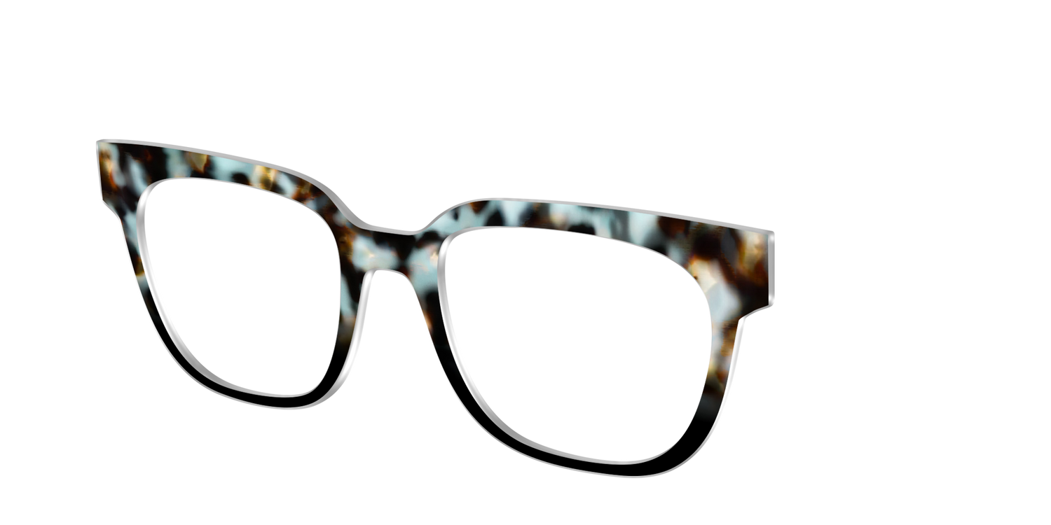 The Academic Tortoise - Angle Top Image - Pair Eyewear