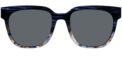 The Polarized Blue Horn Tortoise Sun Top - Front Top Thumbnail - Pair Eyewear