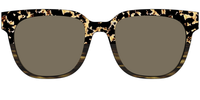 The Polarized Caramel Tortoise Horn Split Sun Top - Front Top Thumbnail - Pair Eyewear