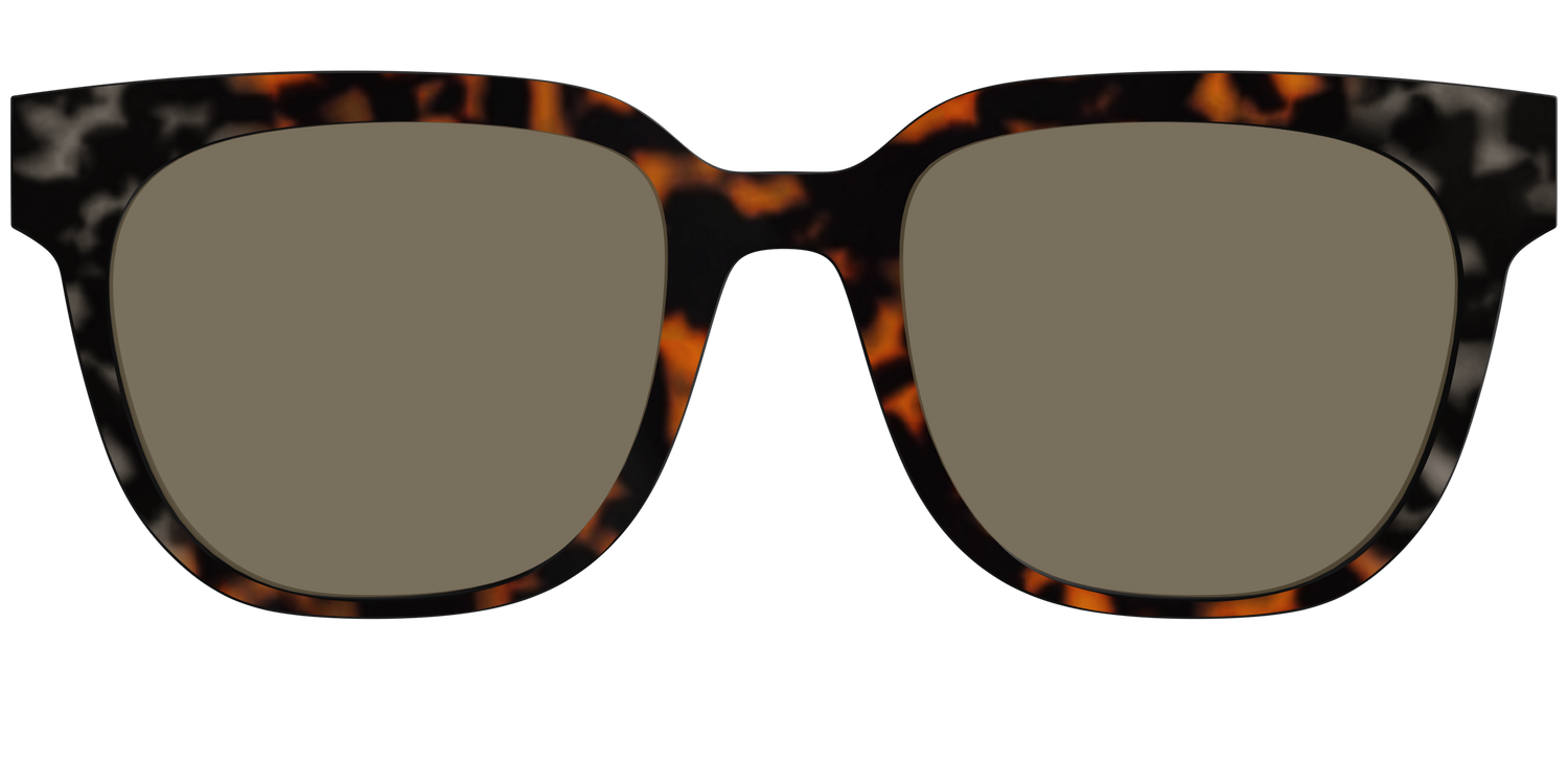 The Polarized Gray & Amber Tortoise Sun Top - Front Top Image - Pair Eyewear