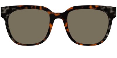 The Polarized Gray & Amber Tortoise Sun Top - Front Top Thumbnail - Pair Eyewear