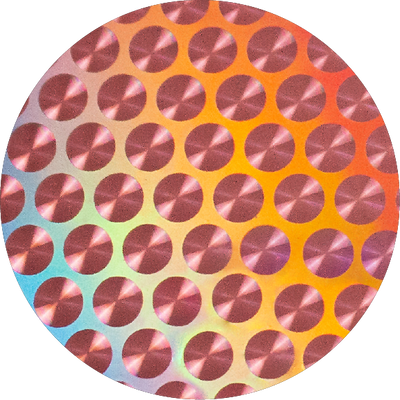 The Polarized Abalone Sun Top