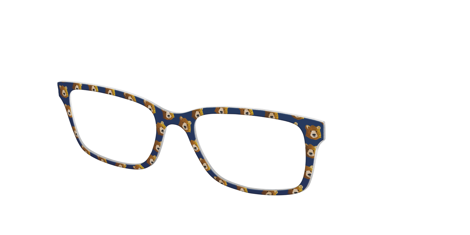The Grizzly Bears - Angle Top Image - Pair Eyewear
