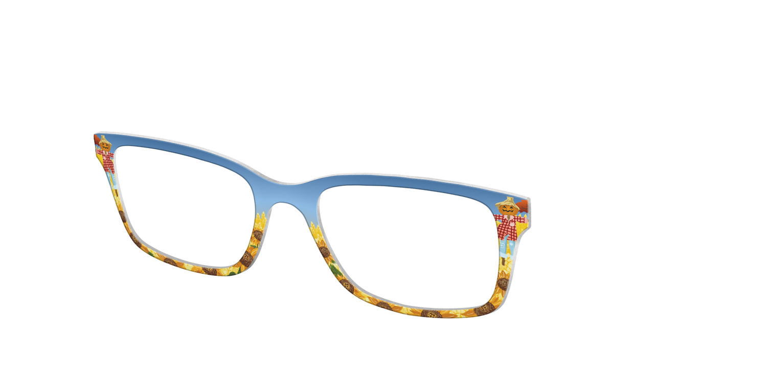 The Joyful Scarecrow - Angle Top Image - Pair Eyewear