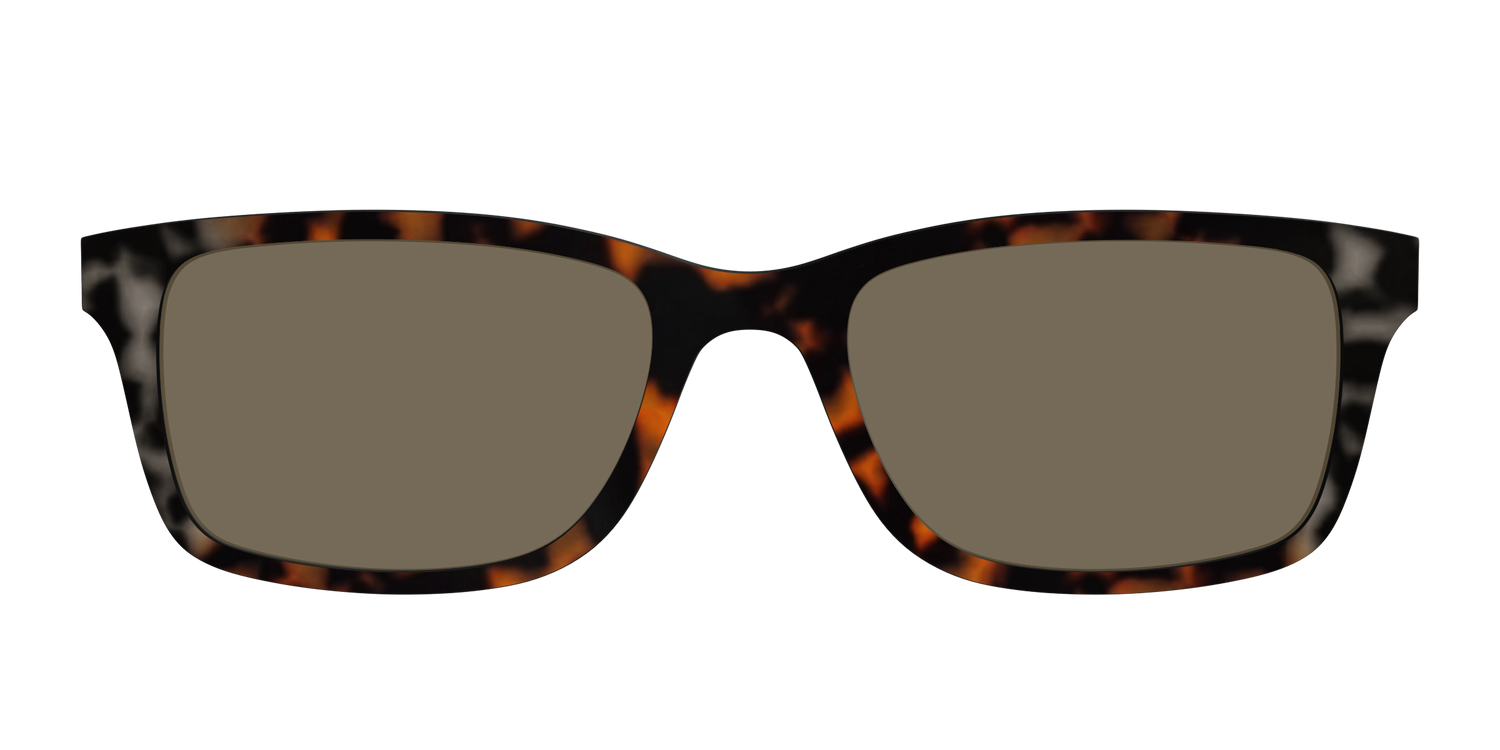 The Polarized Gray & Amber Tortoise Sun Top - Front Top Image - Pair Eyewear
