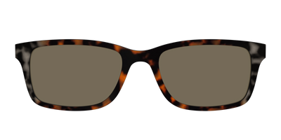 The Polarized Gray & Amber Tortoise Sun Top - Front Top Thumbnail - Pair Eyewear