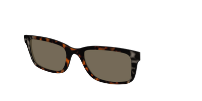 The Polarized Gray & Amber Tortoise Sun Top - Angle Top Thumbnail - Pair Eyewear