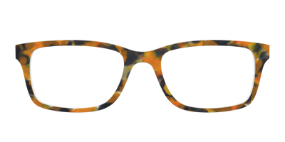 The Pumpkin Tortoise - Front Top Thumbnail - Pair Eyewear