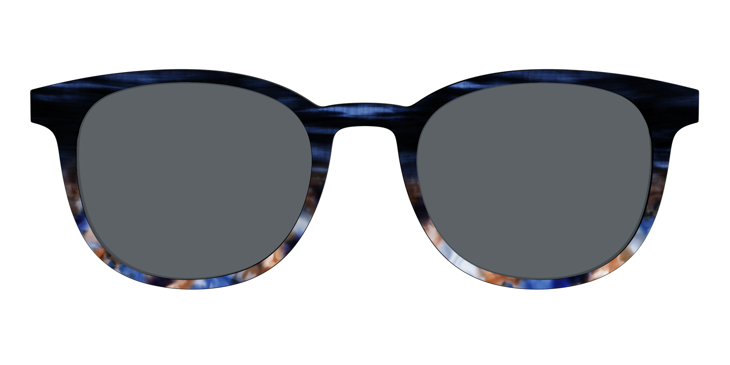 The Polarized Blue Horn Tortoise Sun Top - Front Top Image - Pair Eyewear