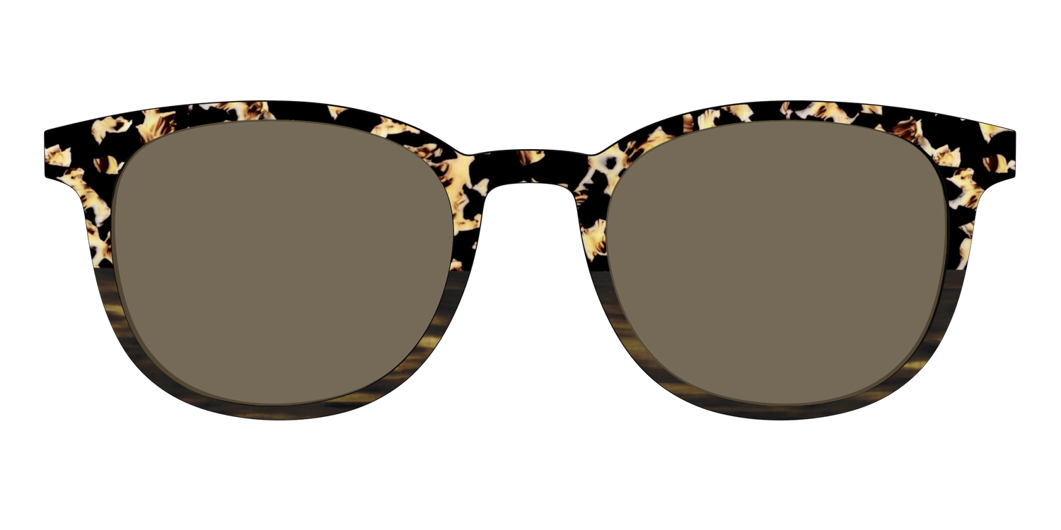 The Polarized Caramel Tortoise Horn Split Sun Top - Front Top Image - Pair Eyewear
