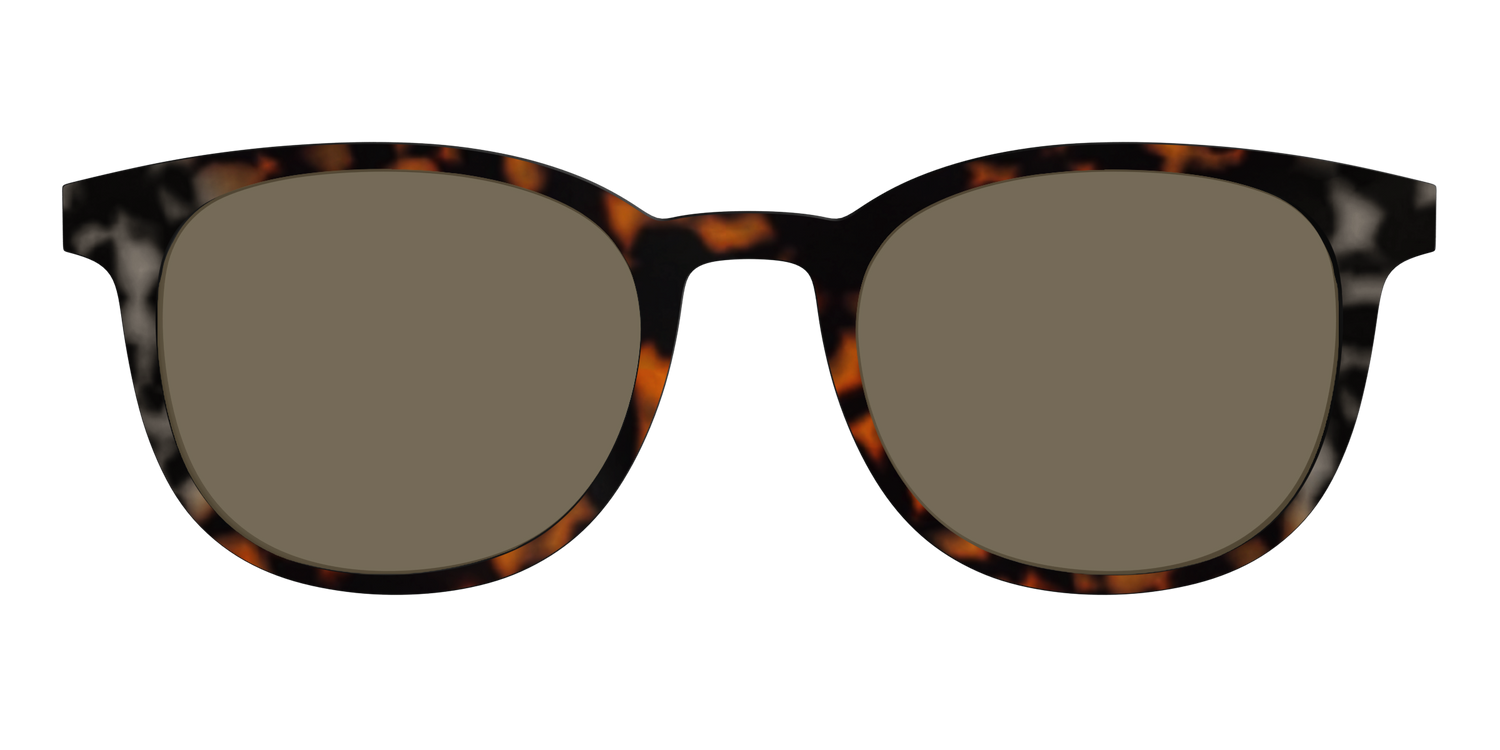 The Polarized Gray & Amber Tortoise Sun Top - Front Top Image - Pair Eyewear
