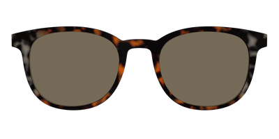 The Polarized Gray & Amber Tortoise Sun Top - Front Top Thumbnail - Pair Eyewear