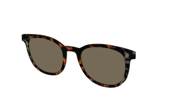 The Polarized Gray & Amber Tortoise Sun Top - Angle Top Thumbnail - Pair Eyewear