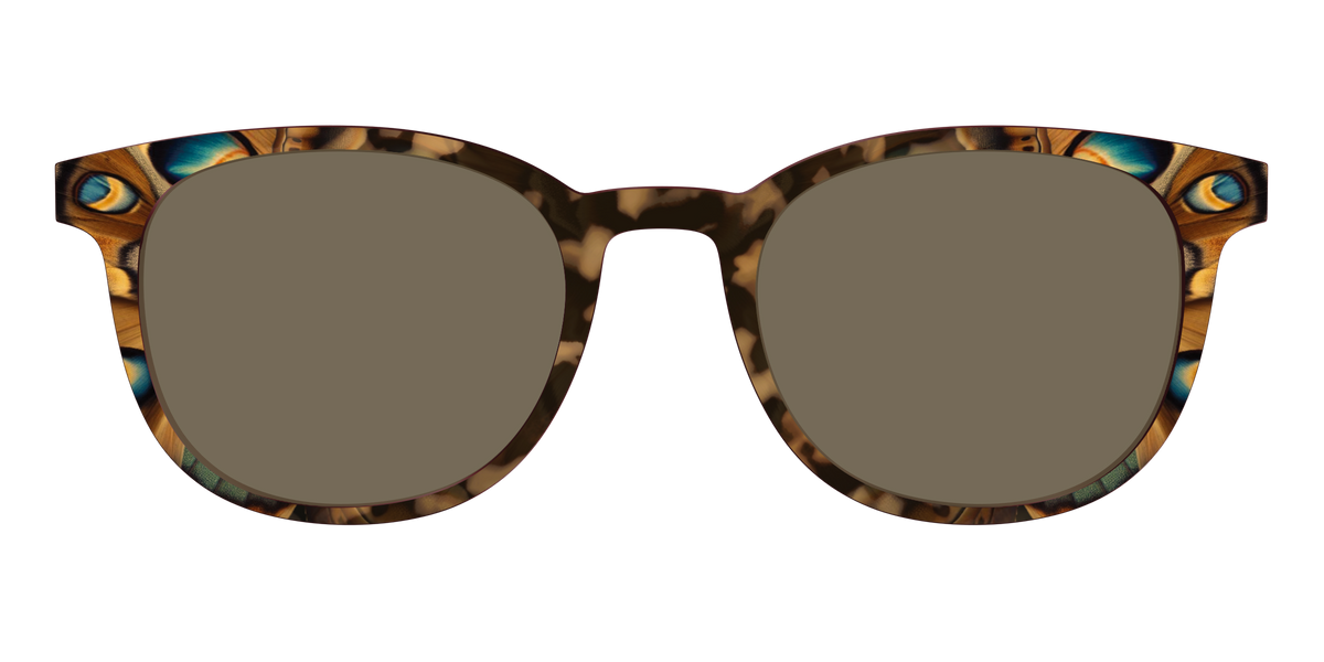 The Polarized Moth Wings Sun Top - Front Top Image - Pair Eyewear