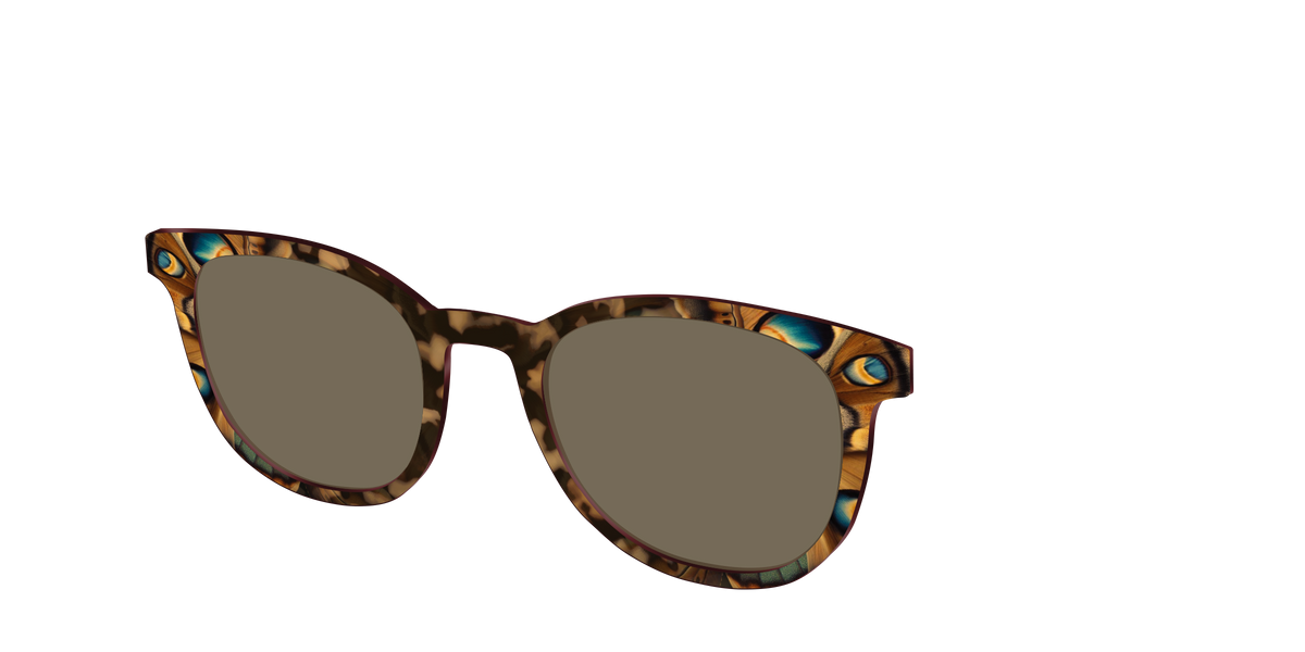 The Polarized Moth Wings Sun Top - Angle Top Image - Pair Eyewear
