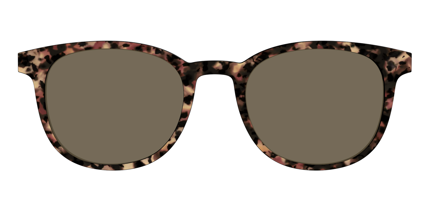The Polarized Sienna Tortoise Sun Top - Front Top Image - Pair Eyewear