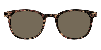The Polarized Sienna Tortoise Sun Top - Front Top Thumbnail - Pair Eyewear