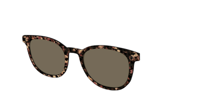 The Polarized Sienna Tortoise Sun Top - Angle Top Thumbnail - Pair Eyewear