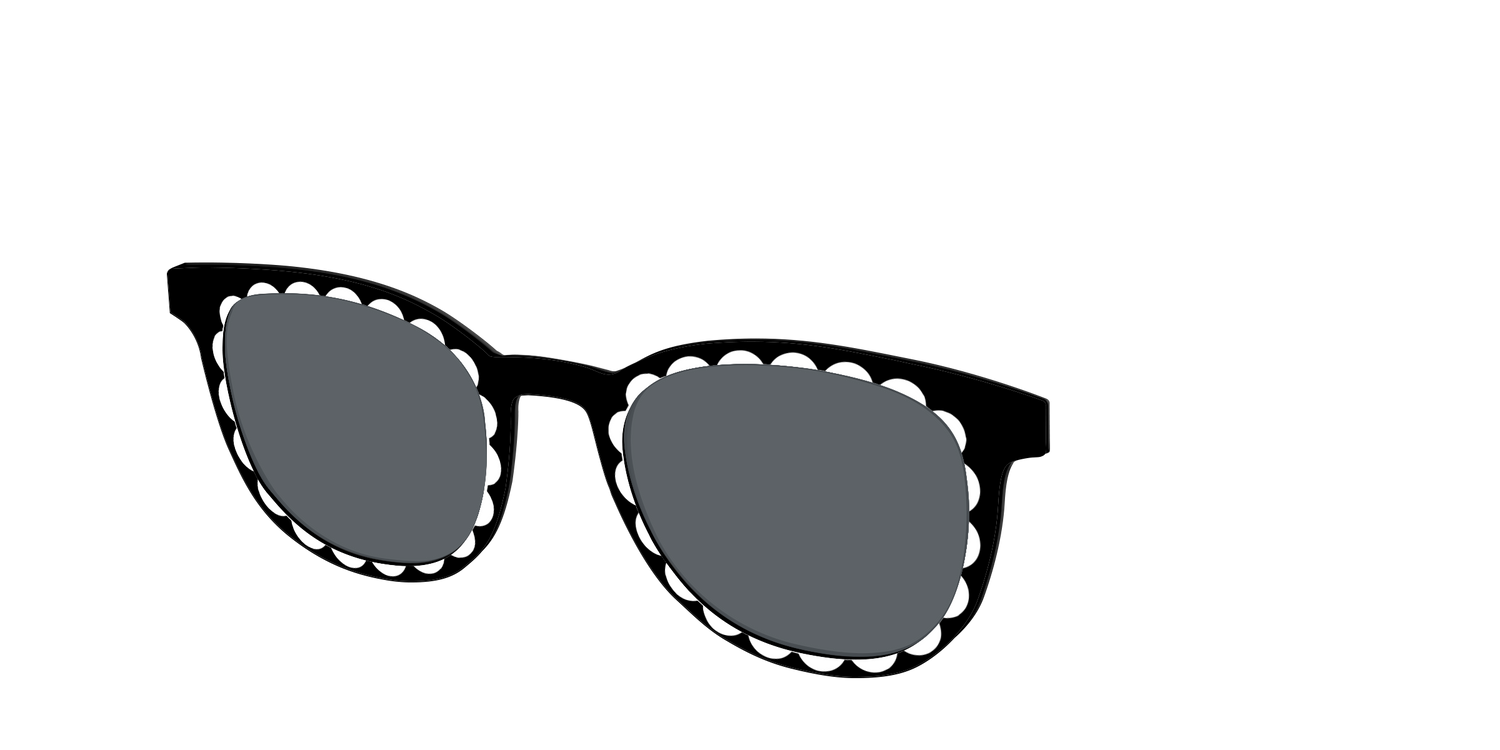 The Polarized Stylish Daisy Sun Top - Angle Top Image - Pair Eyewear
