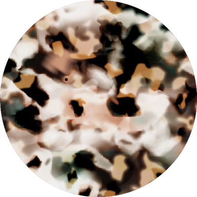 The Polarized Abalone Sun Top