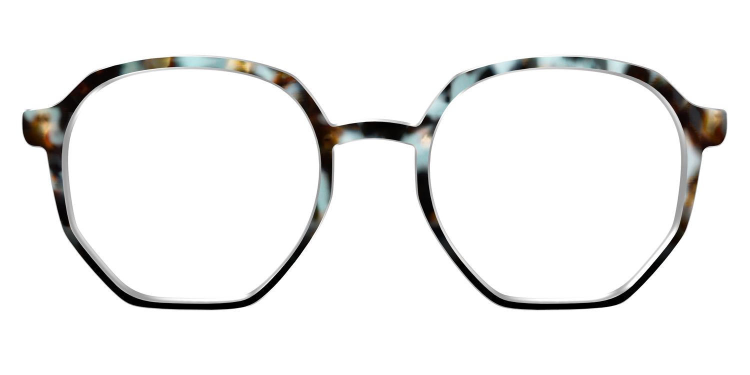 The Academic Tortoise - Front Top Image - Pair Eyewear