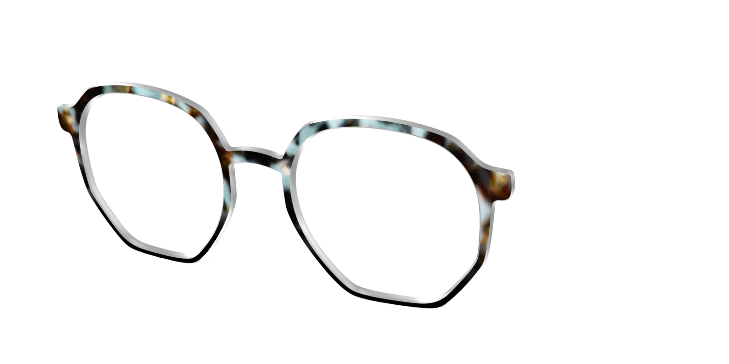The Academic Tortoise - Angle Top Image - Pair Eyewear