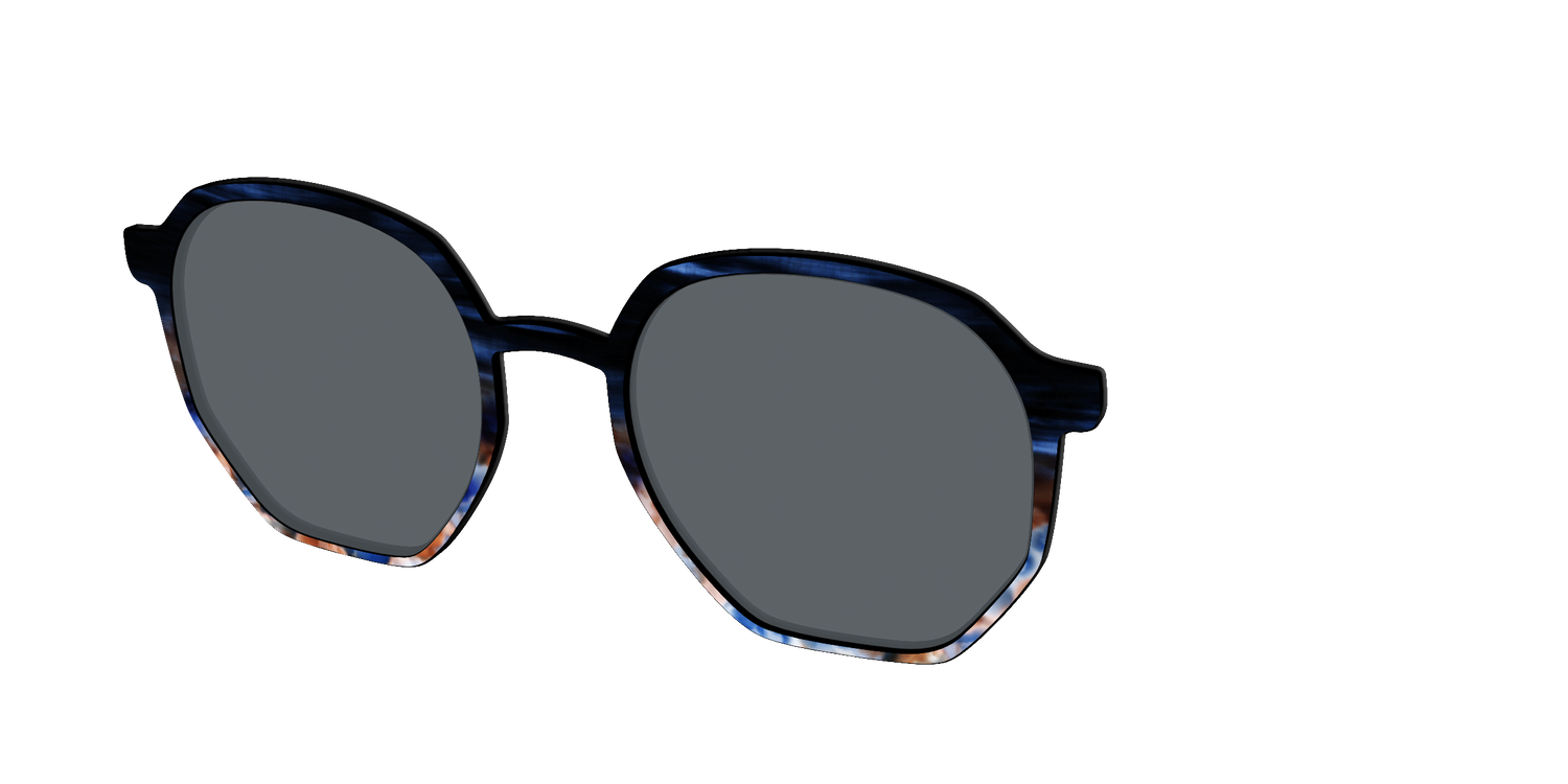 The Polarized Blue Horn Tortoise Sun Top - Angle Top Image - Pair Eyewear