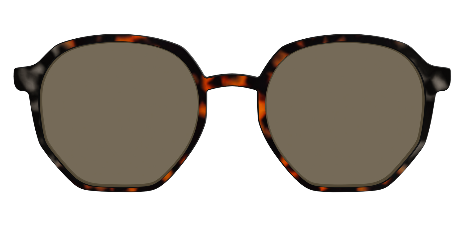 The Polarized Gray & Amber Tortoise Sun Top - Front Top Image - Pair Eyewear
