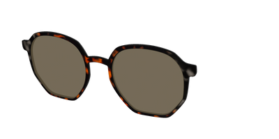 The Polarized Gray & Amber Tortoise Sun Top - Angle Top Thumbnail - Pair Eyewear