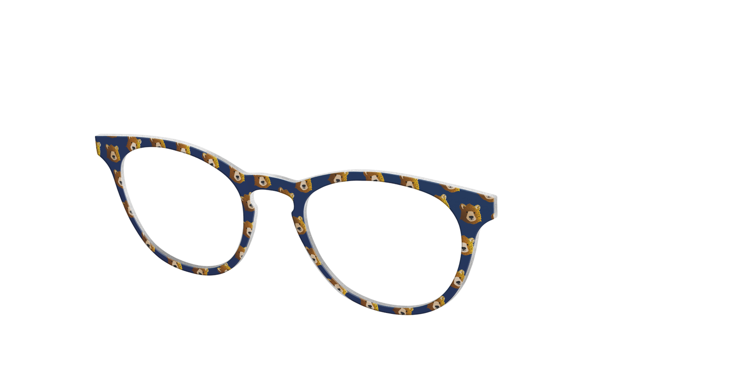 The Grizzly Bears - Angle Top Image - Pair Eyewear