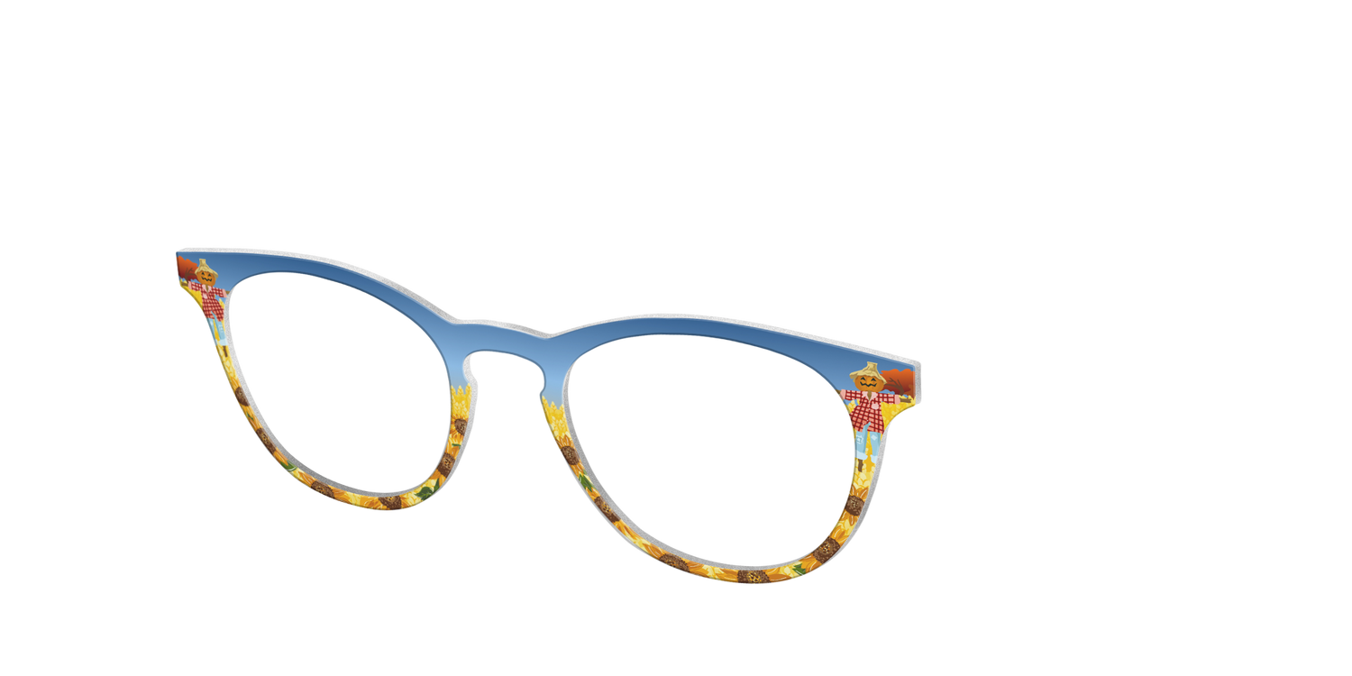 The Joyful Scarecrow - Angle Top Image - Pair Eyewear