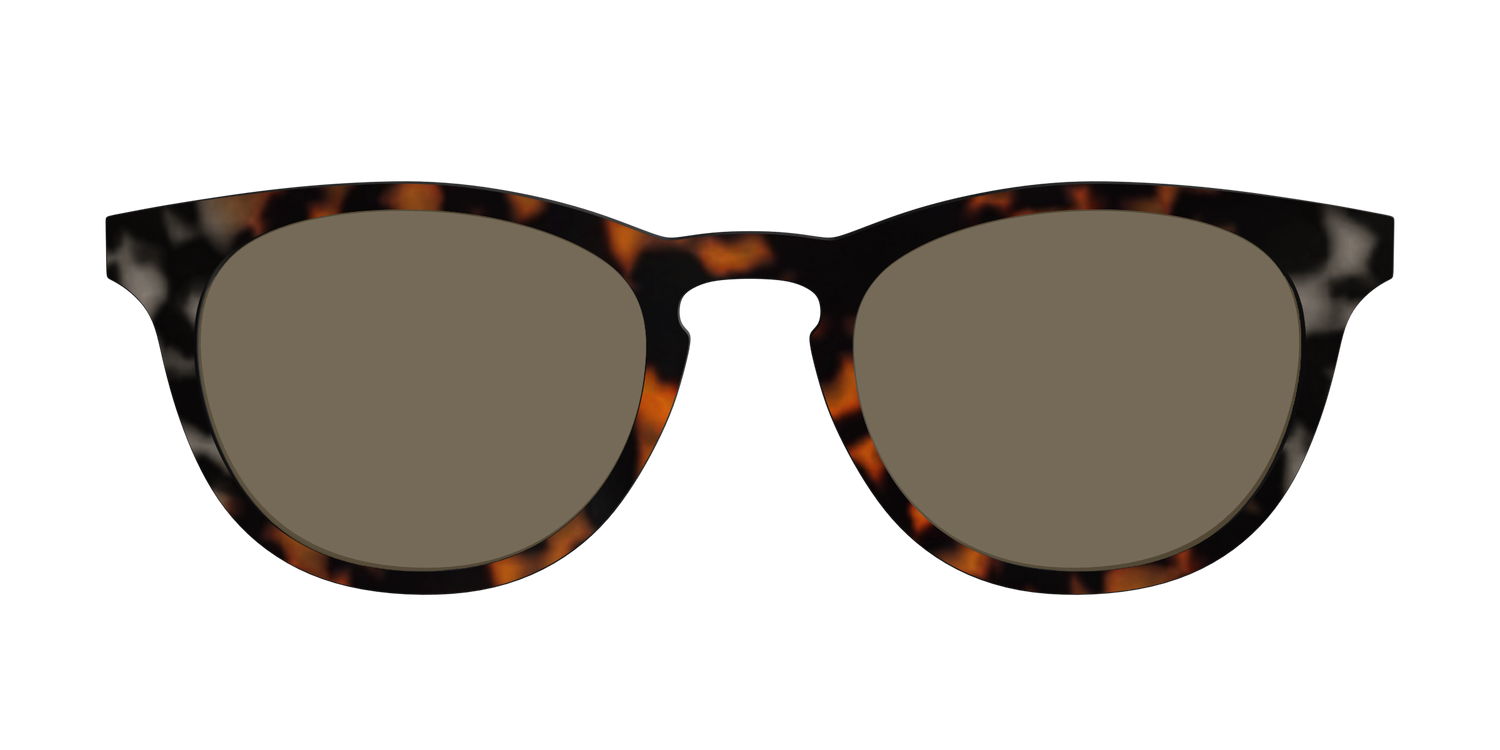 The Polarized Gray & Amber Tortoise Sun Top - Front Top Image - Pair Eyewear