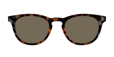 The Polarized Gray & Amber Tortoise Sun Top - Front Top Thumbnail - Pair Eyewear