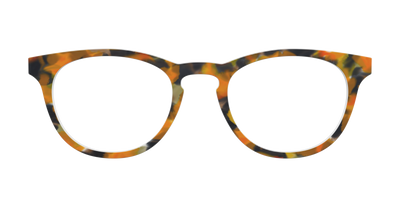The Pumpkin Tortoise - Front Top Thumbnail - Pair Eyewear