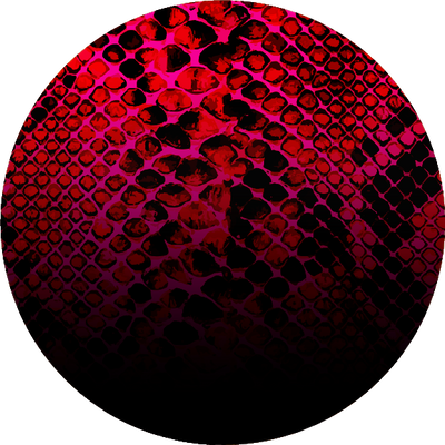 The Bear Pride Gradient