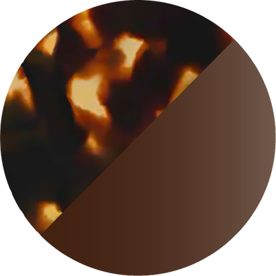 The Polarized Abalone Sun Top