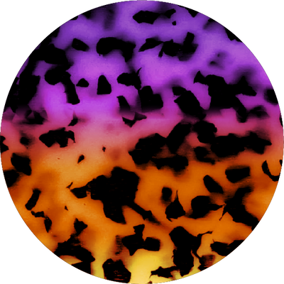 The Bear Pride Gradient