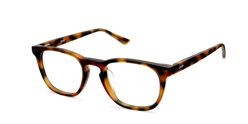 The Twain - Tortoise - Secondary Image - Pair Eyewear