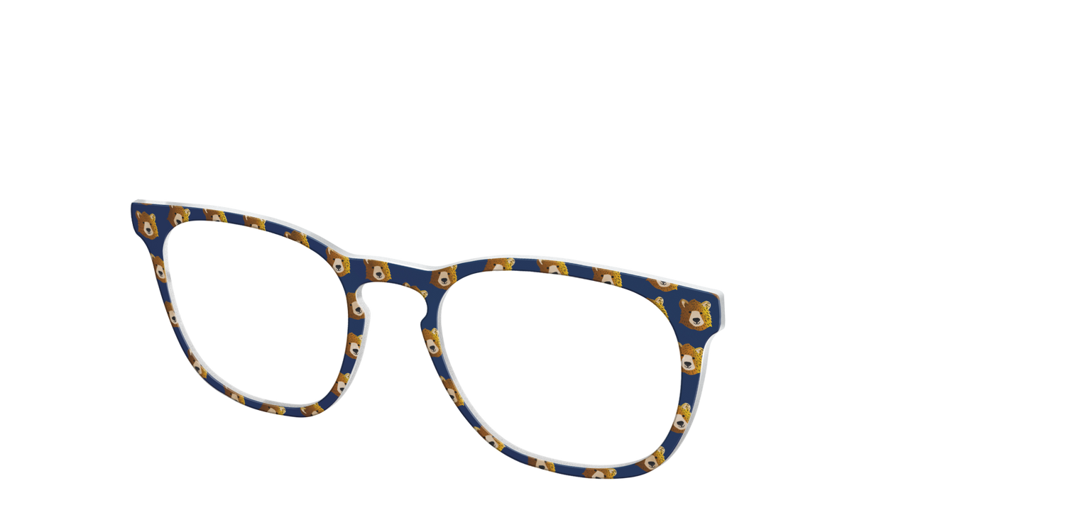 The Grizzly Bears - Angle Top Image - Pair Eyewear