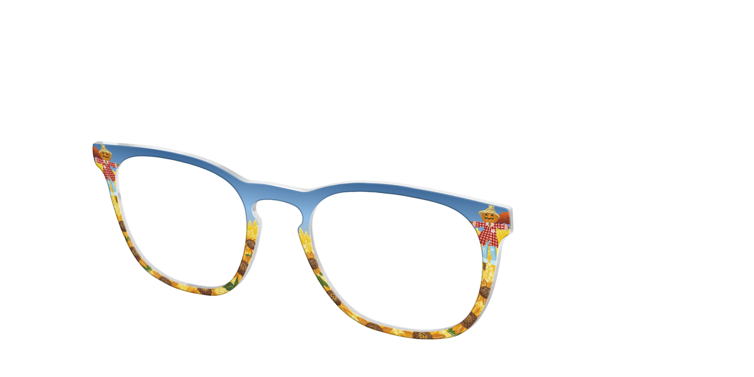The Joyful Scarecrow - Angle Top Image - Pair Eyewear