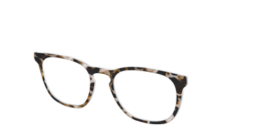 The Neutral Tort - Angle Top Thumbnail - Pair Eyewear